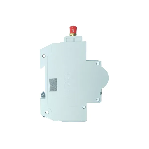 WDYK MCB 63A 2P Wi-Fi Smart Mini Circuit Breaker (63A, 1P+1N) - Image 3