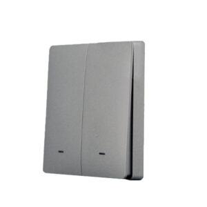 SmartWise BEREM2 Bluetooth (eWeLink-Remote) wireless switch with 2 button, grey push button front panel
